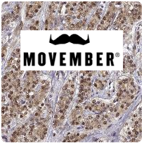 movember2.png